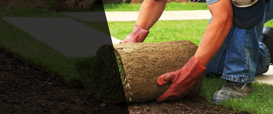 Lake Helen Landscapers